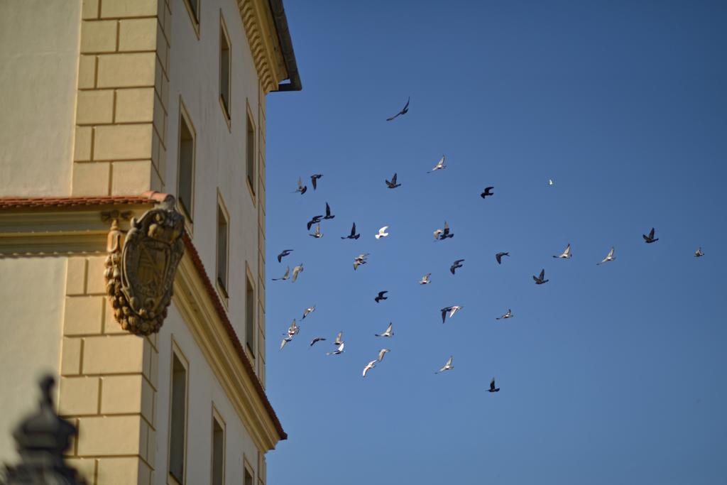 Apartmány Belveder Hlohovec Exterior foto